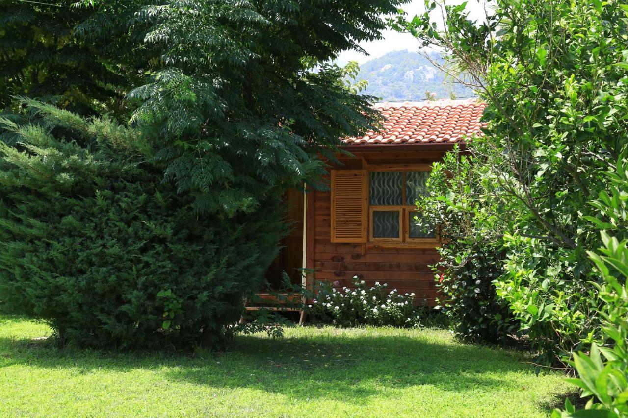 Tunays Pansiyon Acomodação com café da manhã Çıralı Quarto foto