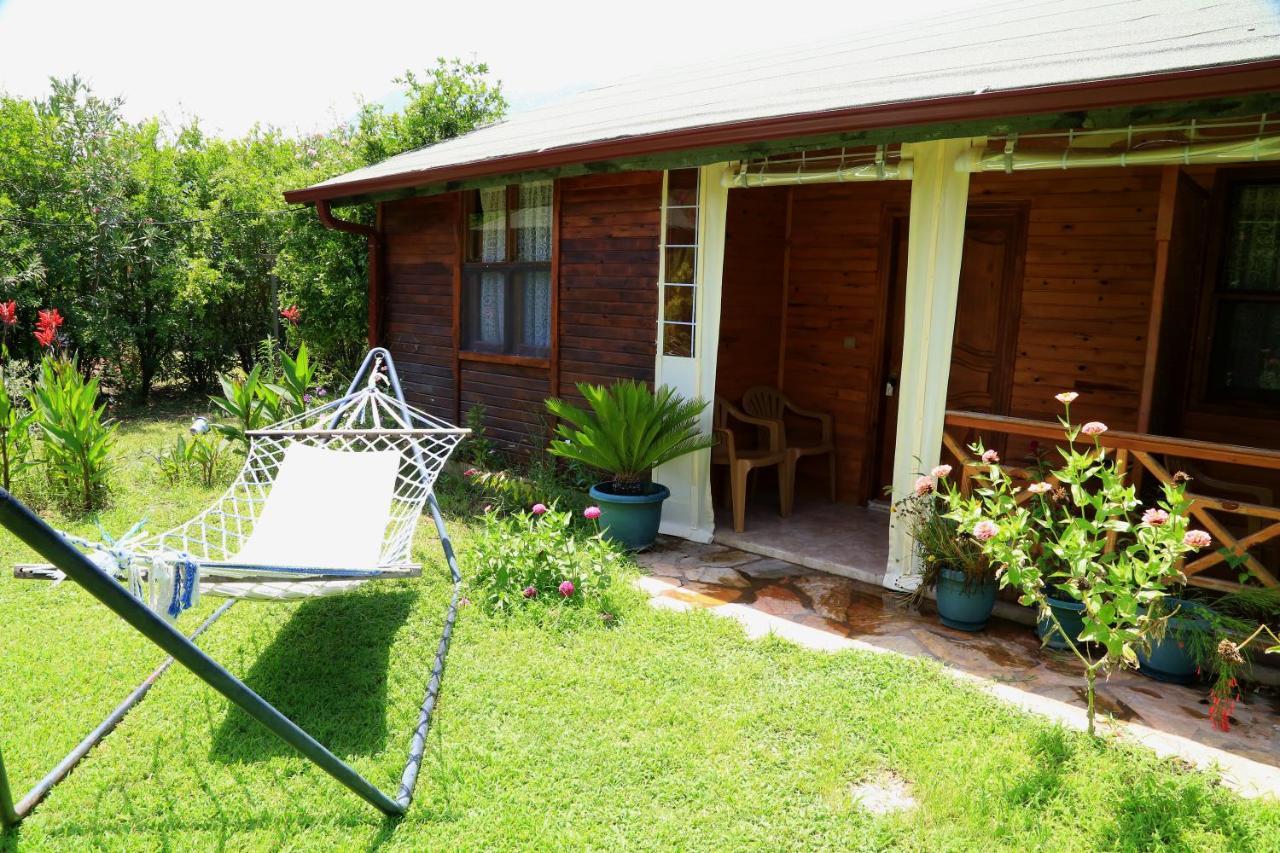 Tunays Pansiyon Acomodação com café da manhã Çıralı Quarto foto
